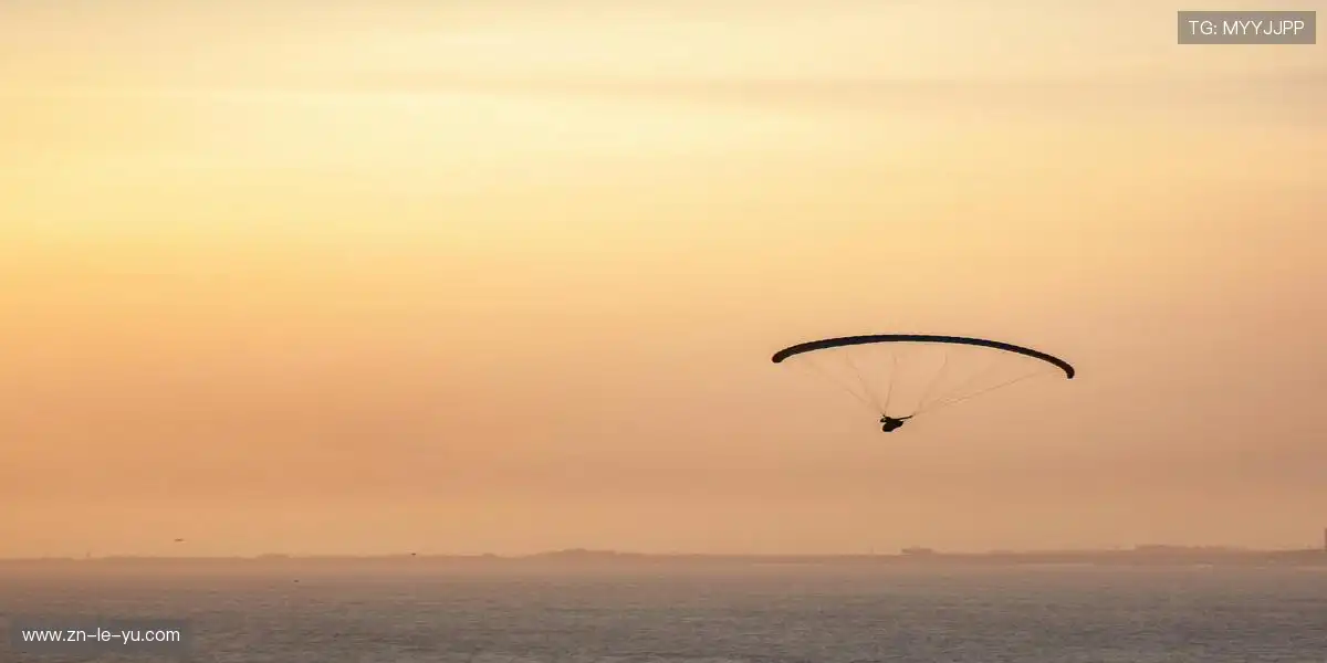 全息投影呈现·为荣耀背书⏱️